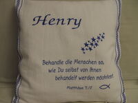 Kissen f. Henry (3)